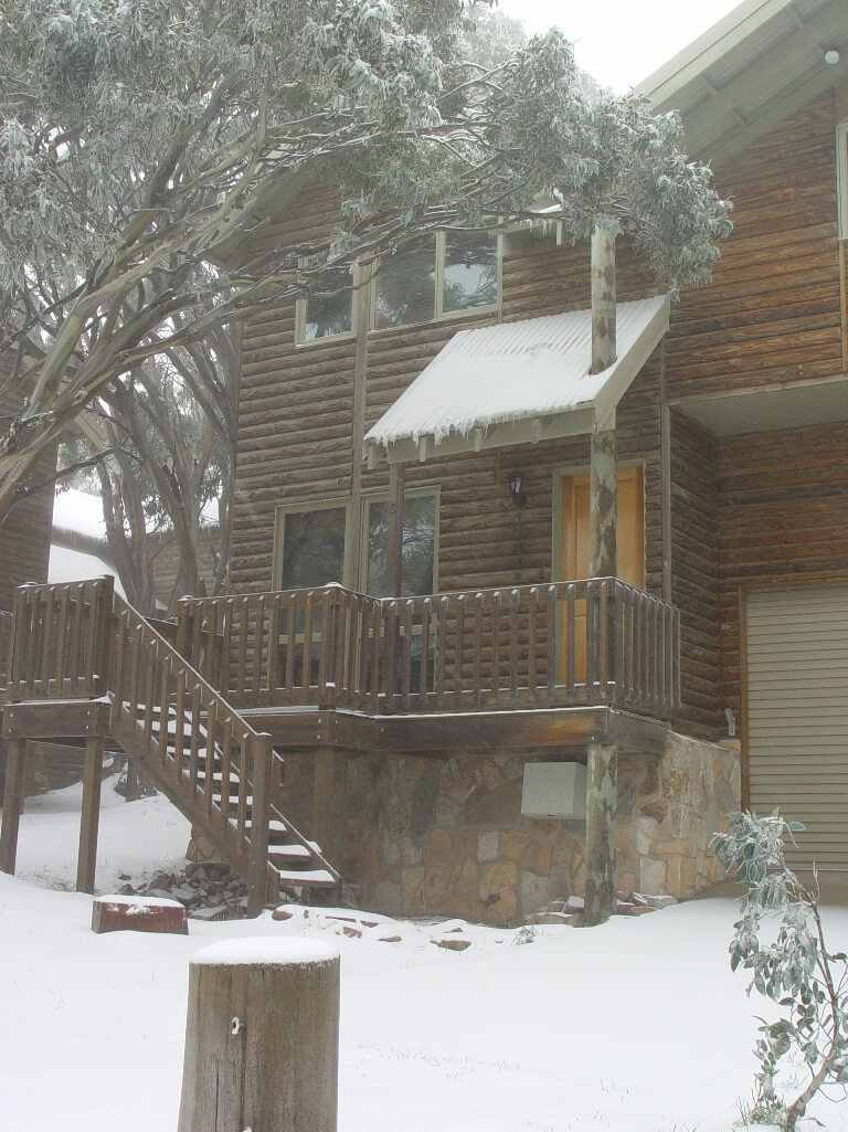 Brackenwood 3